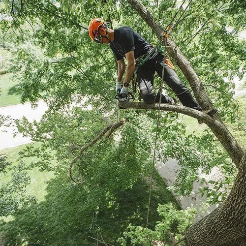 Chainsaw 2T 1.4𝑘𝑊 MS194T Stihl - Image 4