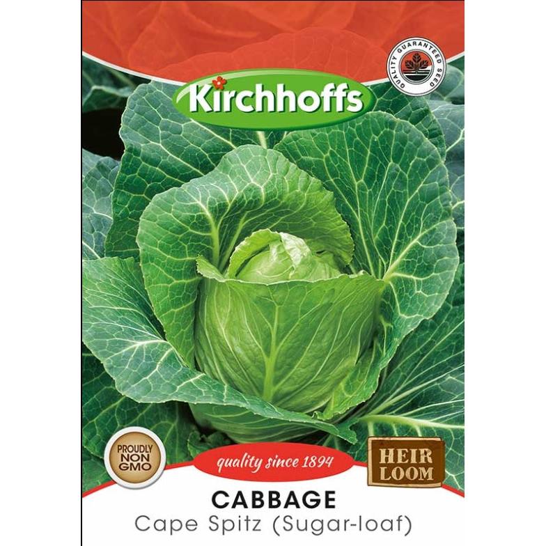 Vegetable Seed Cabbage's Kirchhoffs - Image 7